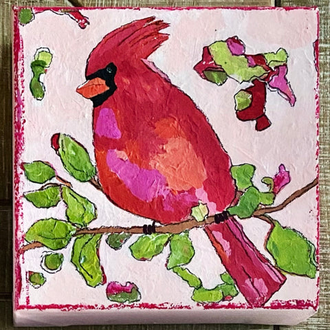 Cardinal Pale Pink #1